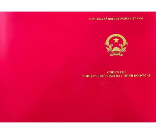 Học Online Cấp Chứng Chỉ Nghề Làm Đẹp, Tóc, Nail, Spa, Make Up, Phun Xăm – Hợp Pháp Hóa Tay Nghề Ngay Tại Nhà